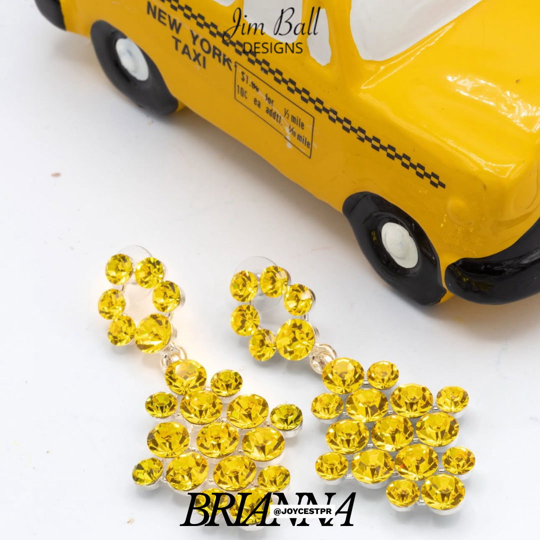 Brianna Earring