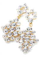 Brianna Earrings
