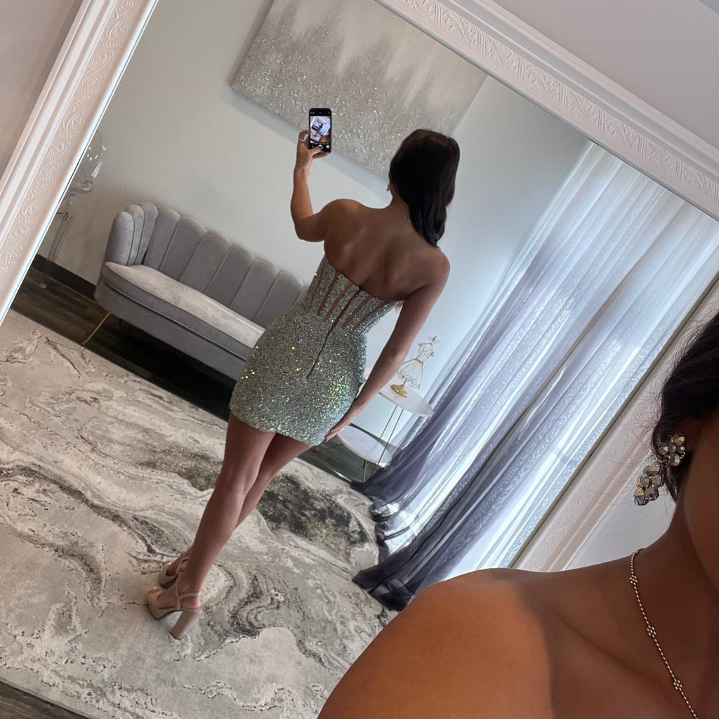 JoycesTPR Portia and Scarlett PS25404 Silver Nude Back Dress