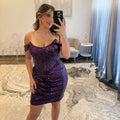 JoycesTPR Sherri Hill 55163 Plum Dress